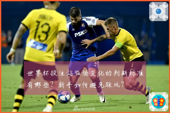 世界杯投注站临场变化的判断标准有哪些？新手如何避免踩坑？