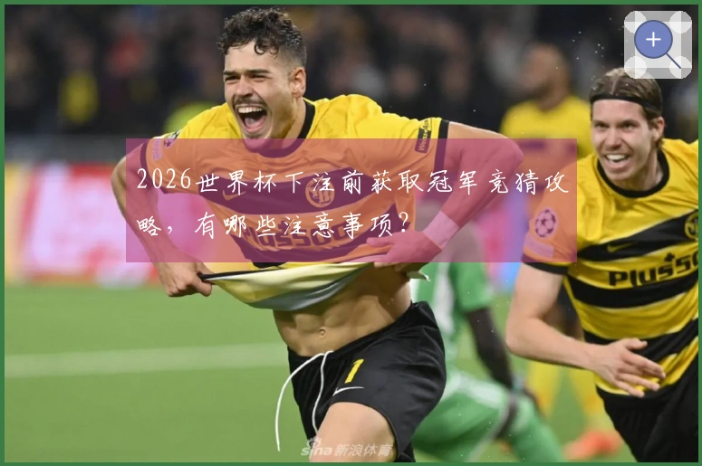 2026世界杯下注前获取冠军竞猜攻略，有哪些注意事项？
