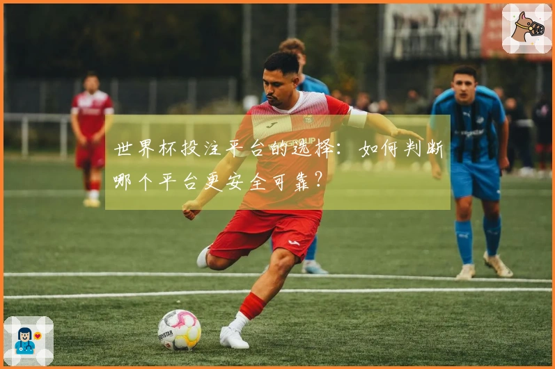 世界杯投注平台的选择：如何判断哪个平台更安全可靠？
