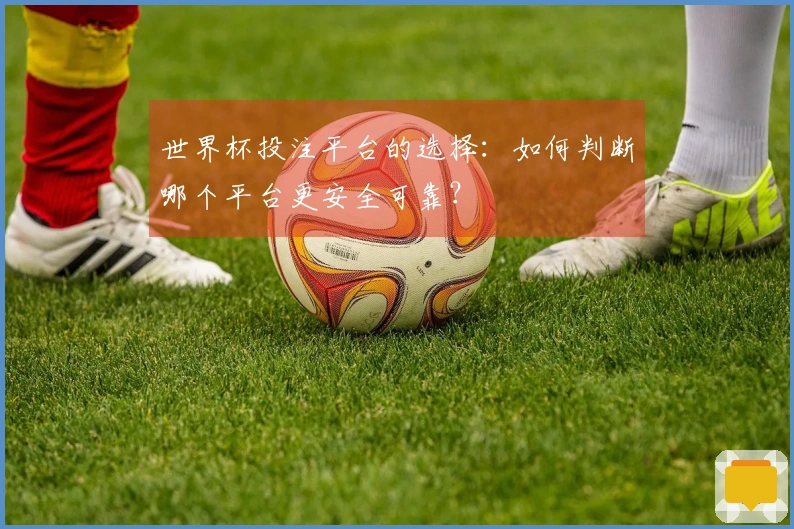 世界杯投注平台的选择：如何判断哪个平台更安全可靠？